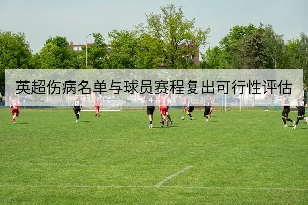 英超伤病名单与球员赛程复出可行性评估